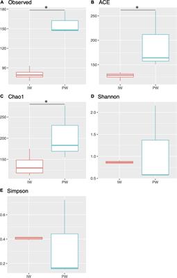 Metagenomic Analysis of Biocide-Treated Neotropical Oil Reservoir Water Unveils Microdiversity of Thermophile Tepidiphilus